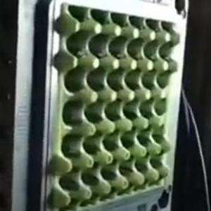 пресс форма ящика для хранения яйц 