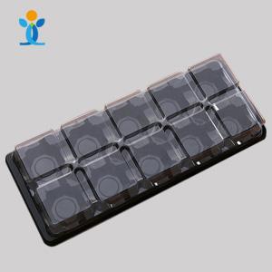 Custom Packaging Blister  Plastic Packaging